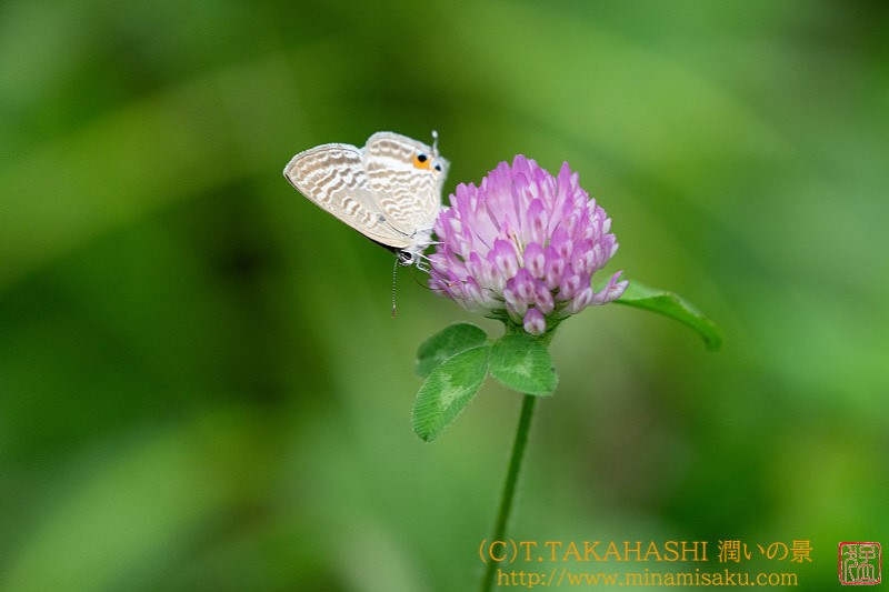 ../Images/7R240928 (258).jpg